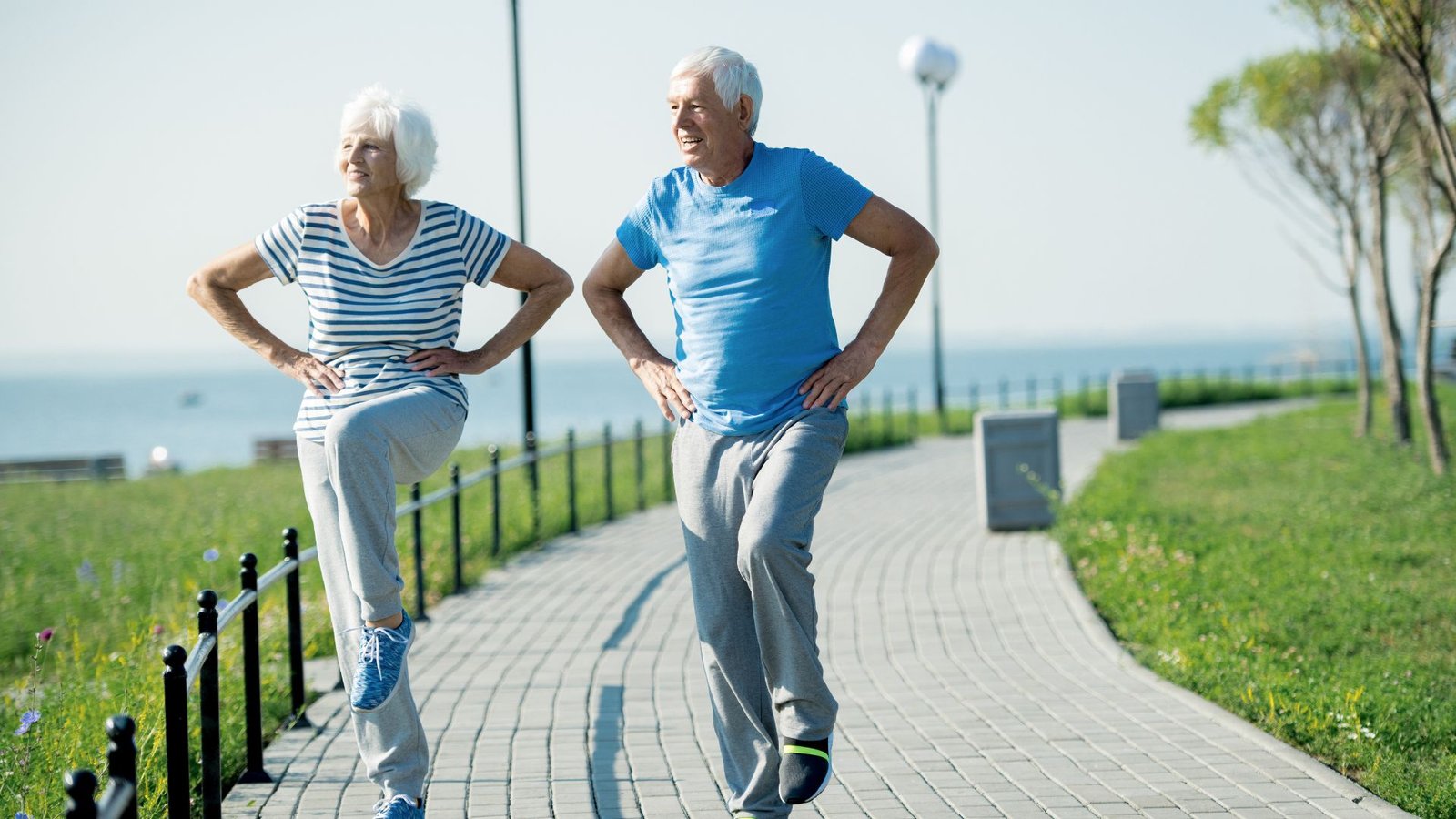 exercícios de baixo impacto para idosos